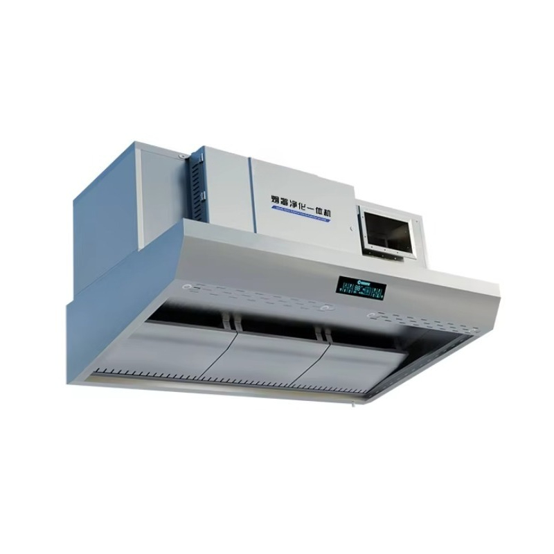 Customized Built in Electrosta - Commercial Kitchen Hoods review and price