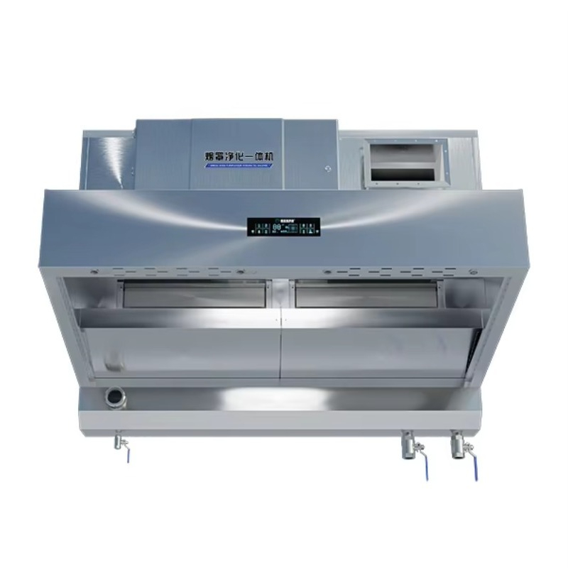 Customized Built in Electrosta - Commercial Kitchen Hoods review and price