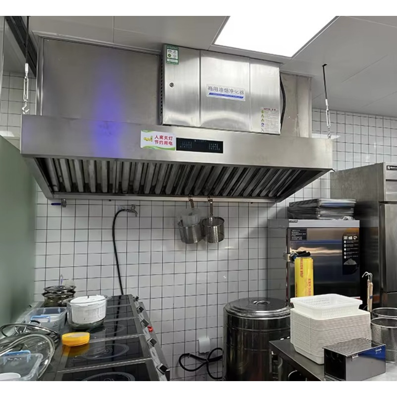 Customized Built in Electrosta - Commercial Kitchen Hoods review and price