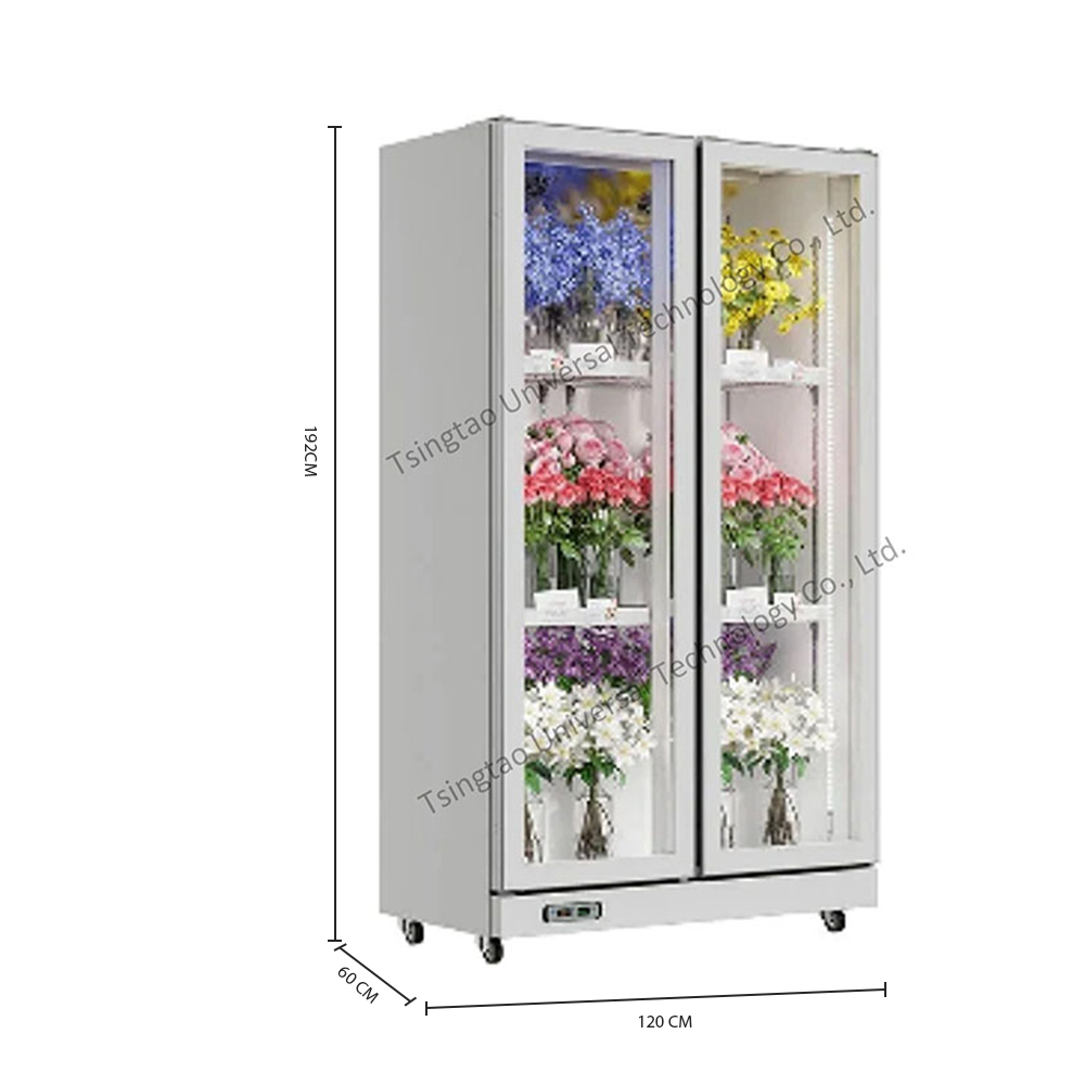 Refrigerated Display Case Flow - Refrigerated Display Case review and price
