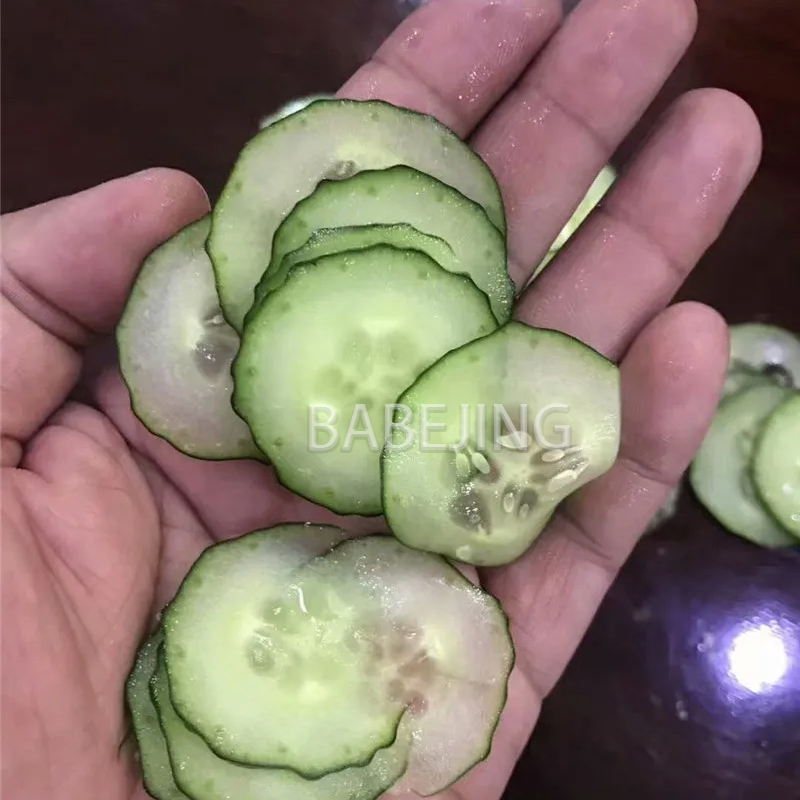 Electric Mini Scallion Chopper - Commercial Kitchen Appliances review and price