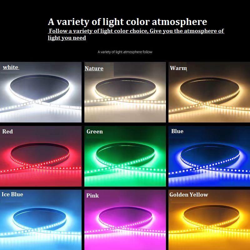 5-100M DC12V 24V Led Strip Lig - Commercial Kitchen Light review and price